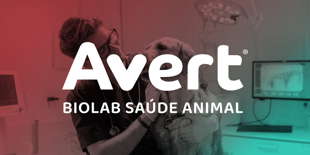 Salud intestinal de los gatos: así debe cuidar su felino