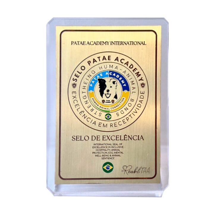 PATAE ACADEMY SEAL